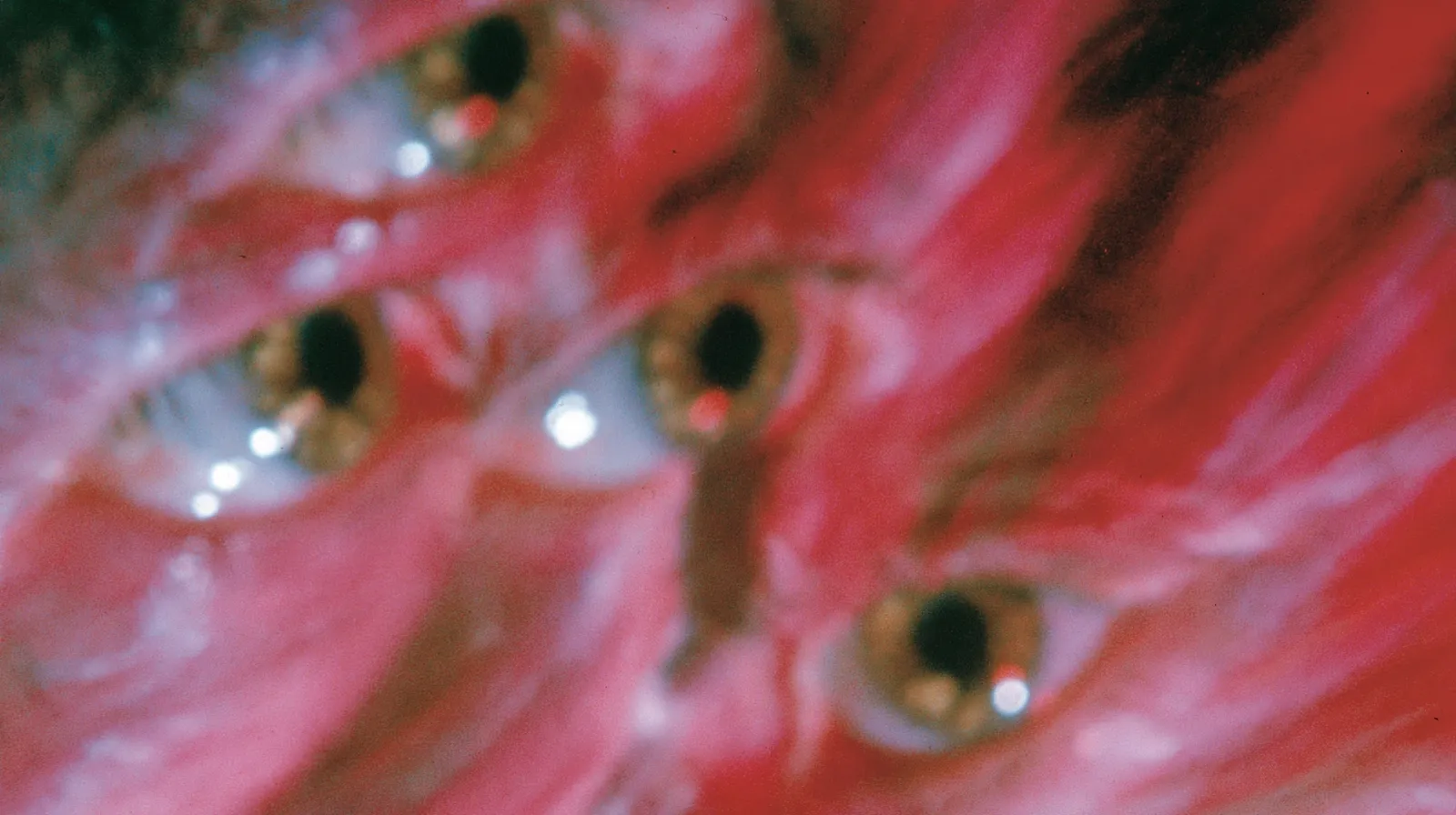 Abstract