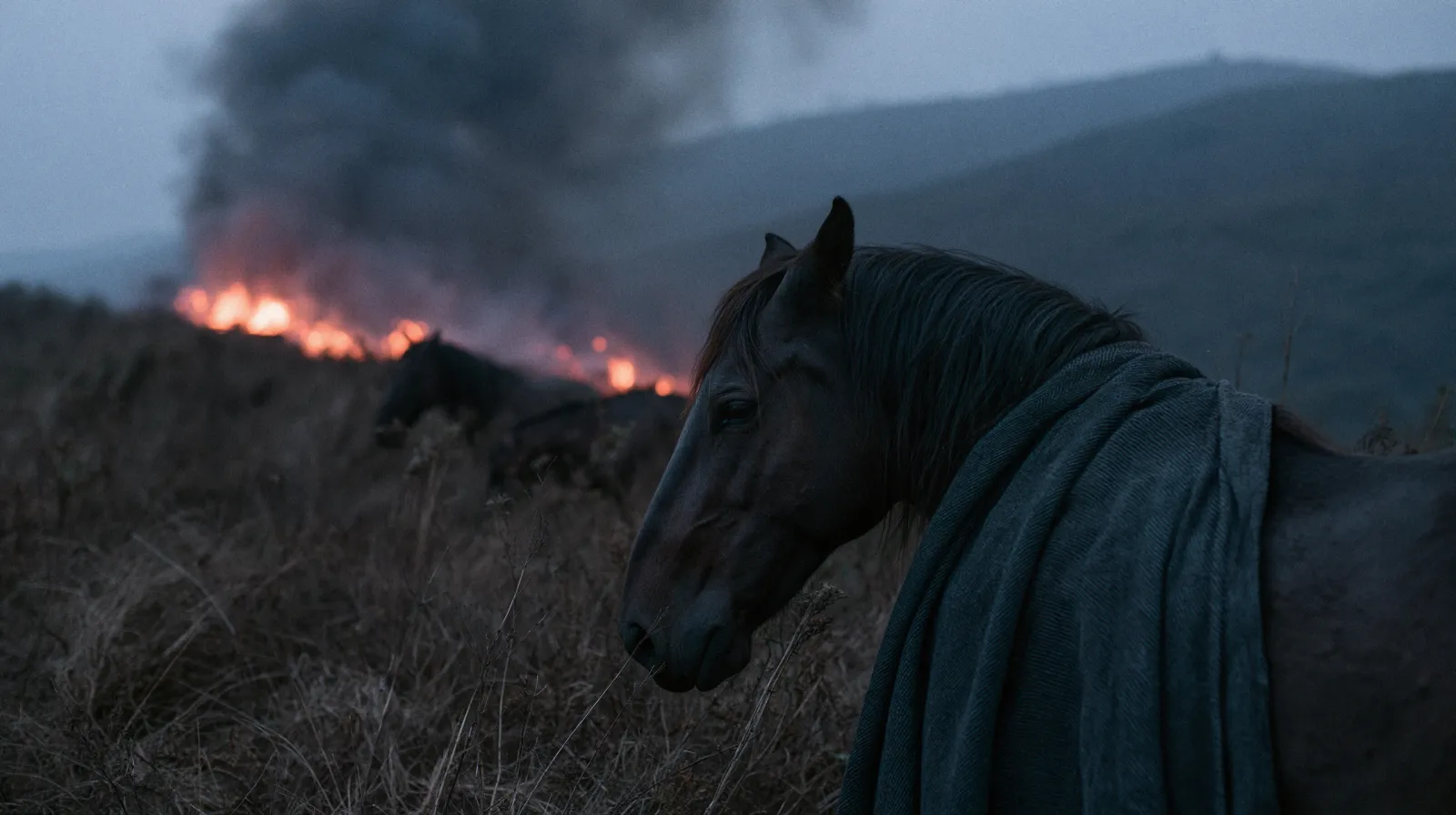 Cinematic